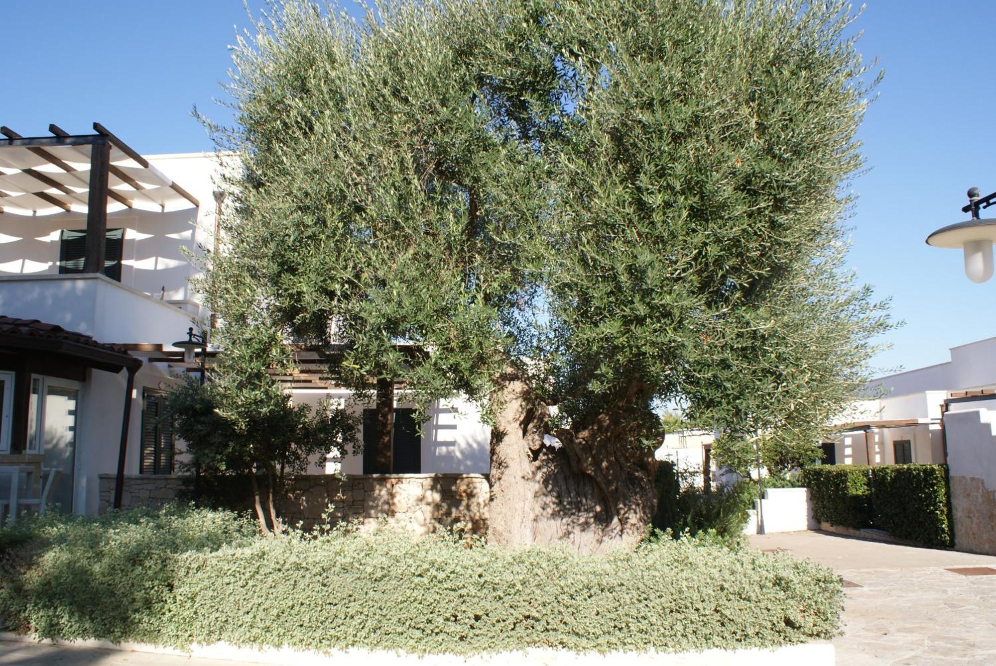 Messapia Hotel&Resort Santa Maria di Leuca Esterno foto